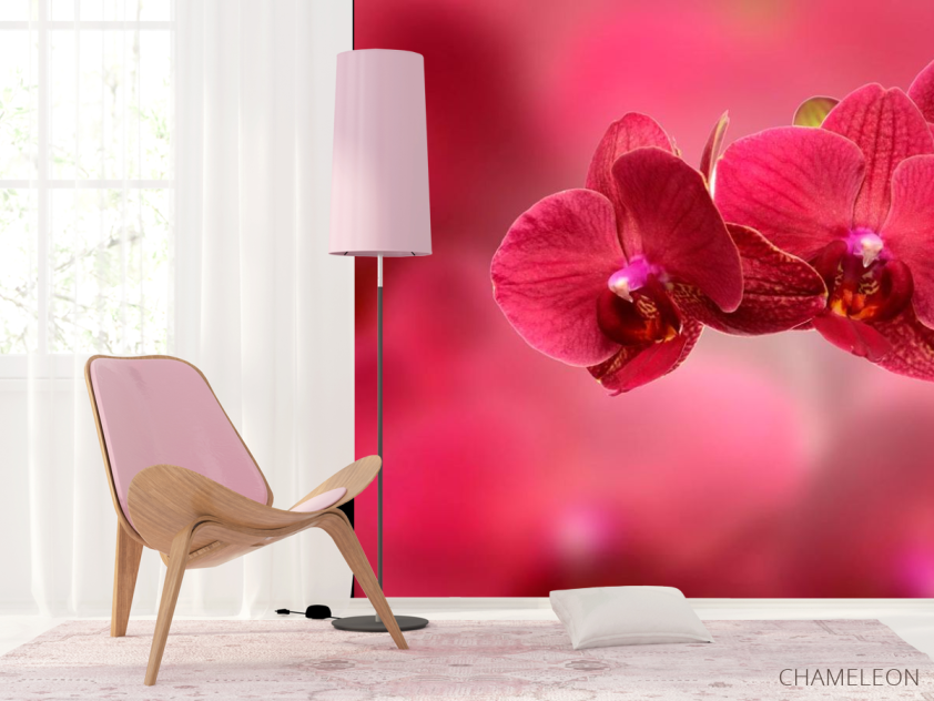 Фотошпалери Червоні орхідеї - 4