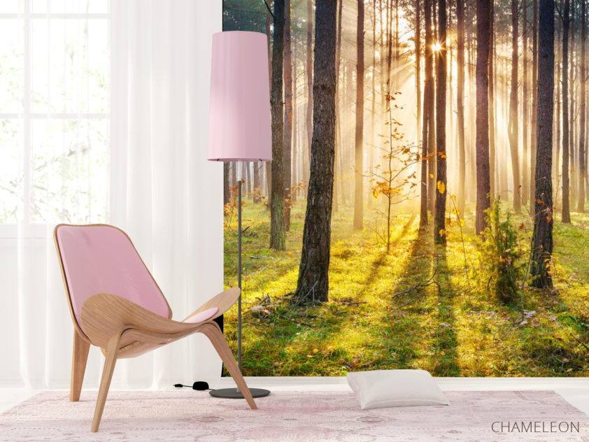 Фотошпалери Захід сонця в лісі - 4