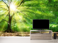 Фотообои солнце сквозь крону - 2