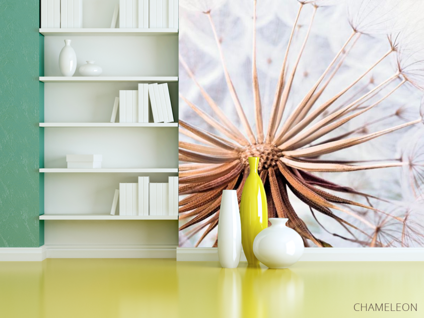 Фотошпалери Одуванчик - 3