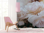 Фотошпалери Біла троянда - 4