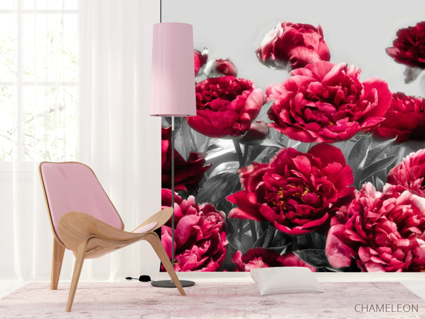 Фотошпалери Бордові півонії - 4
