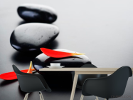 Фотошпалери Пелюстки і камені - 1