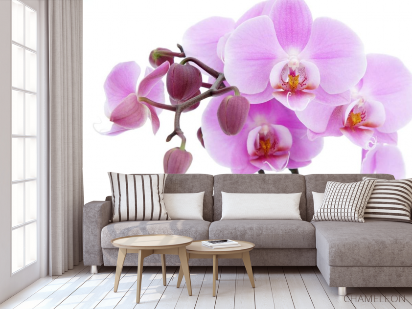 Фотообои сиреневая орхидея - 3