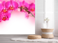 Фотошпалери Гілочка рожевих орхідей - 2