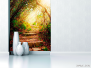 Фотообои Ступеньки, лес - 1