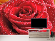 Фотообои Бутон красной розы - 2