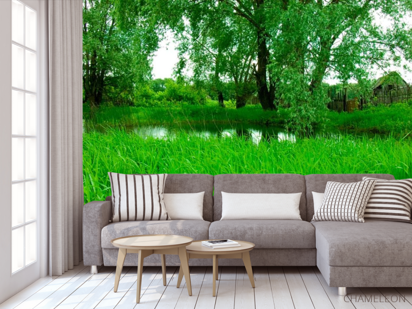 Фотообои Высокая трава - 3