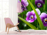 Фотошпалери Фіолетові братки - 4