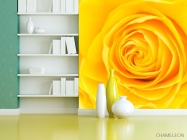 Фотошпалери Жовта троянда крупним планом - 3