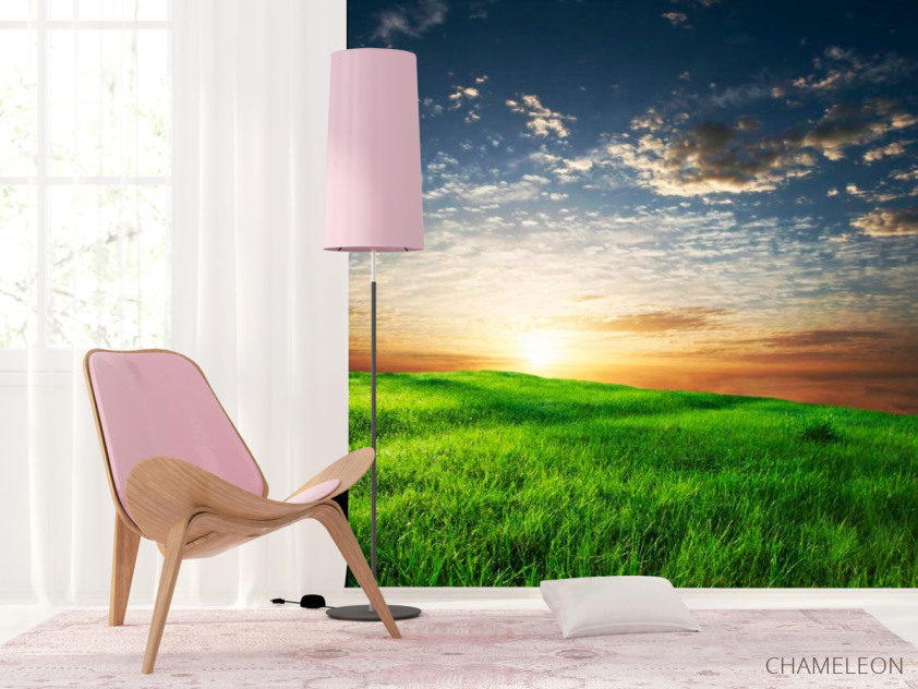 Фотошпалери Трава, небо - 4