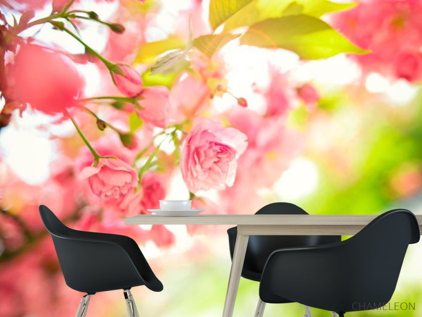 Фотошпалери Квітуче дерево - 1