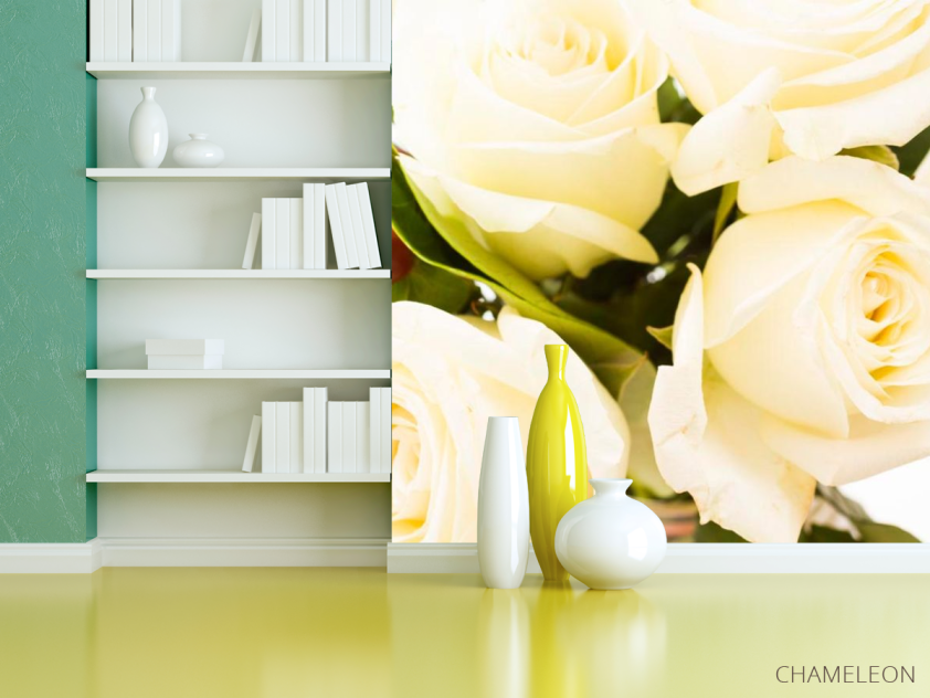 Фотошпалери 4 білих троянди - 3