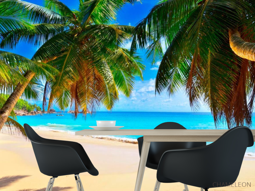 Фотошпалери Дві пальми - 1