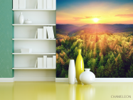 Фотошпалери захід сонця над сосновим лісом - 3