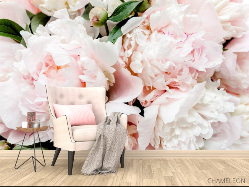 Фотообои Персиковые пионы - 4
