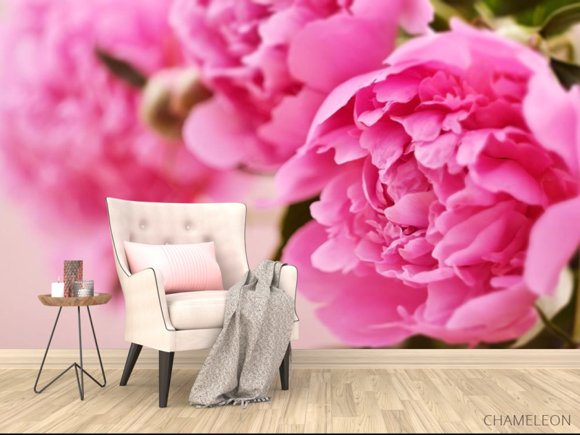 Фотообои розовый пион - 4