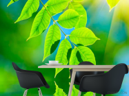 Фотошпалери Зелень над водою - 1