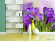 Фотошпалери фіолетові квіти в траві - 3