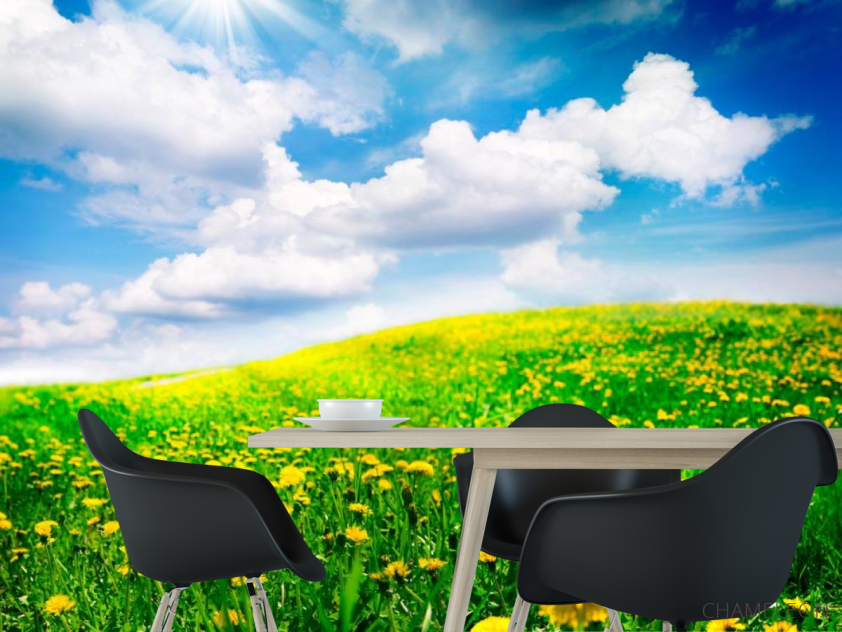 Фотошпалери Хмари, небо, луг - 1