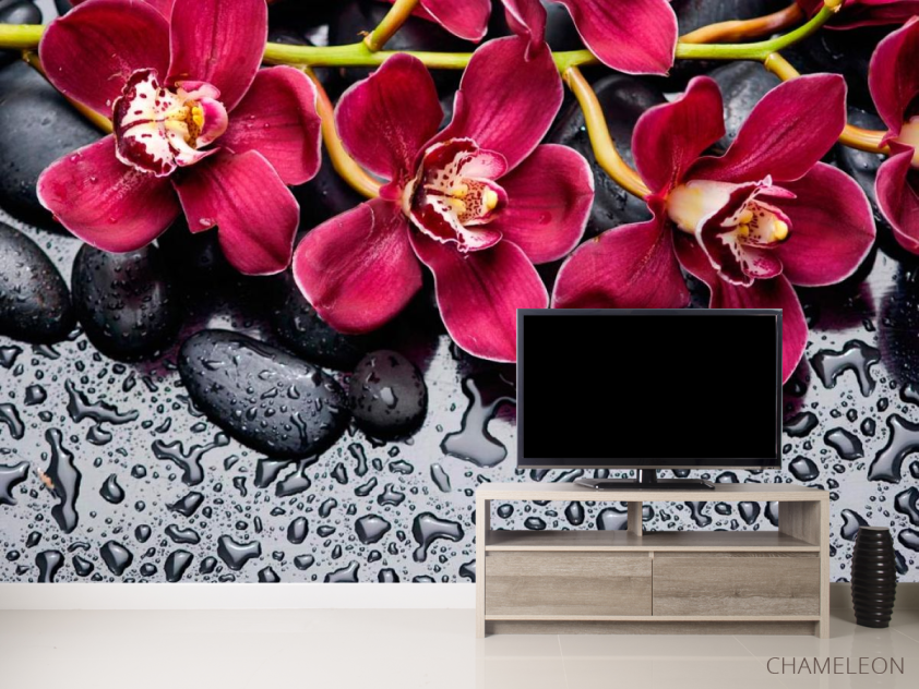 Фотообои Цветы на камнях - 2