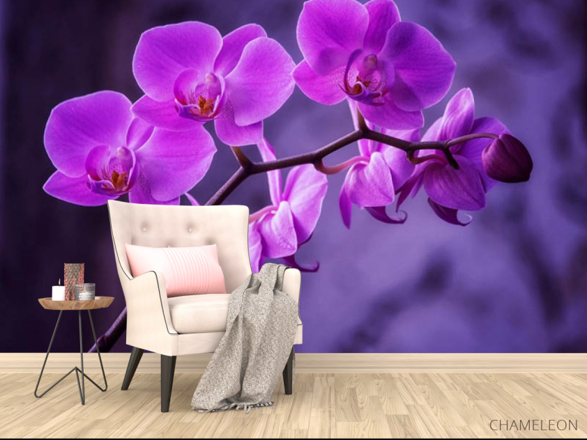 Фотообои орхидея - 4