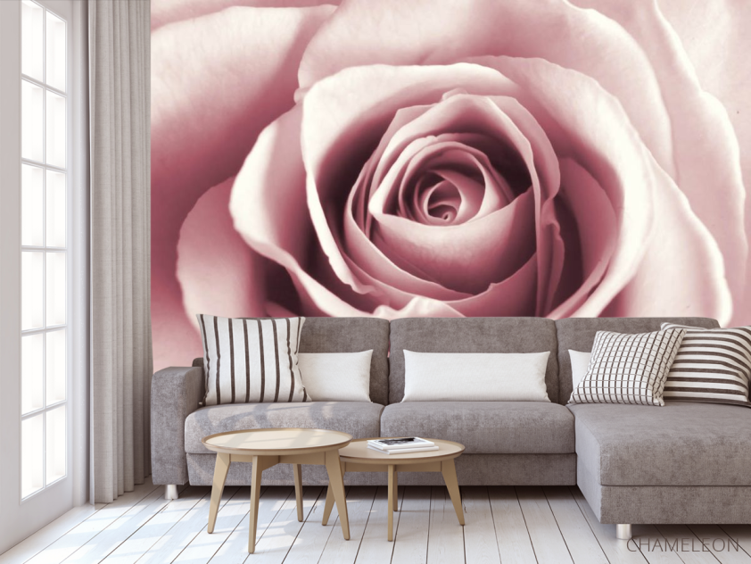 Фотообои бутон розовой розы - 3