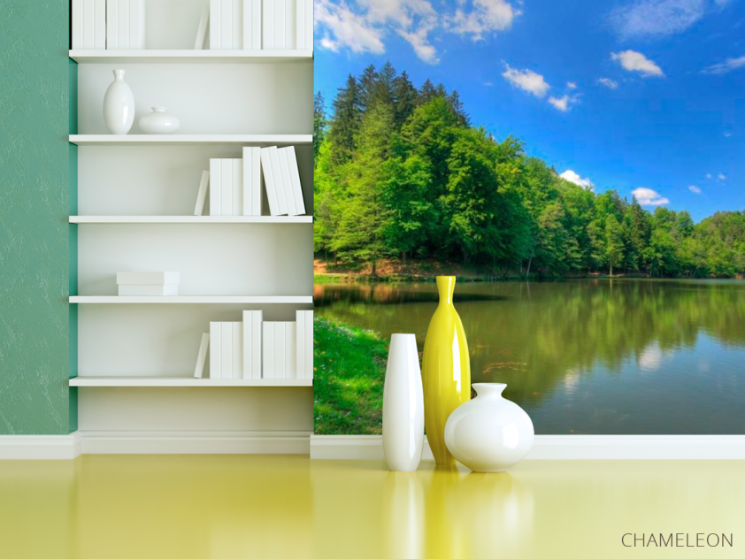 Фотошпалери Тихий ліс - 3