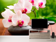 Фотообои Орхидеи бело-малиновые - 2