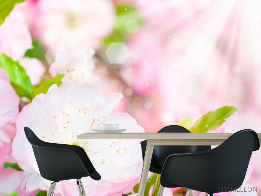 Фотообои Цветки шиповника распустились - 1