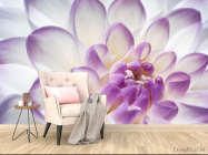 Фотообои Лепестки пиона бело-фиолетовые - 4