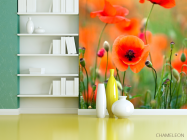 Фотошпалери Поле і маки - 3