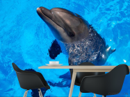 Фотошпалери Жвавий дельфін - 1