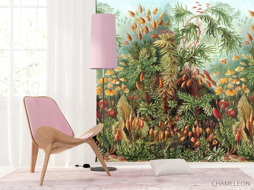 Фотошпалери ліс - 4