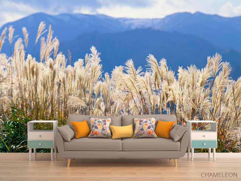 Фотообои Возле болота - 1