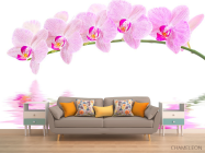 Фотообои Отражение орхидей - 1