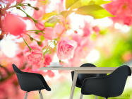 Фотошпалери Квітуче дерево - 1