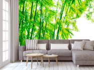 Фотообои Детки, бамбук - 3