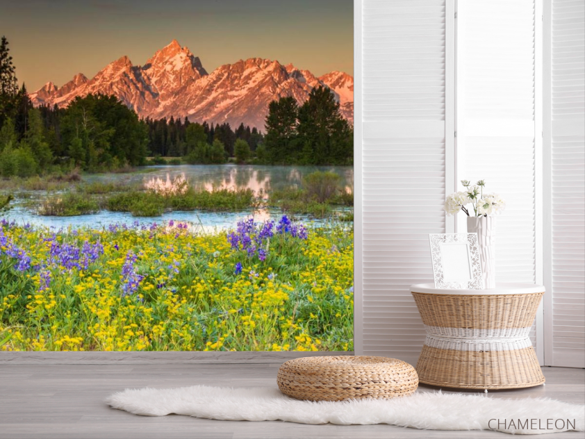 Фотошпалери Природа, гори, квіти - 2