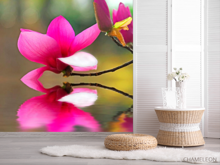 Фотошпалери Малинова орхідея - 2