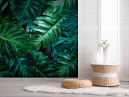 Фотошпалери листя монстери - 2