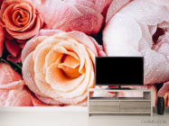 Фотообои Цветы и роса - 2