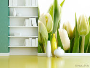 Фотошпалери Тюльпани - 3