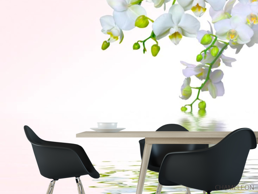 Фотошпалери Білосніжна омела - 1