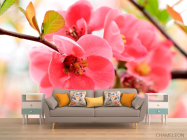 Фотообои Цветок яблони - 1