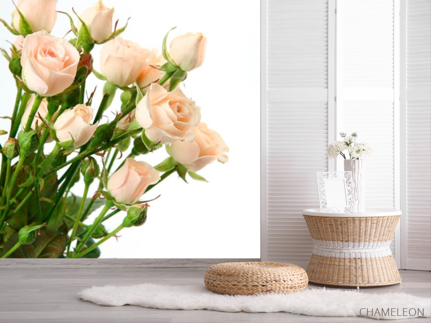 Фотошпалери Бежево-білі троянди - 2