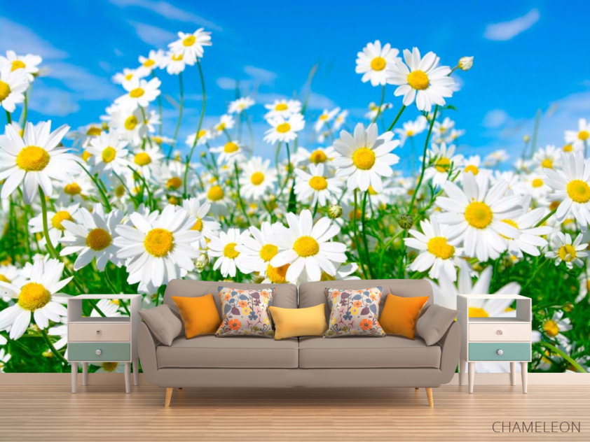 Фотообои Ромашки в степи - 1