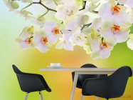 Фотошпалери орхідеї з салатовим фоном - 1