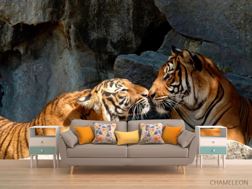 Фотообои Нежность тигров - 1