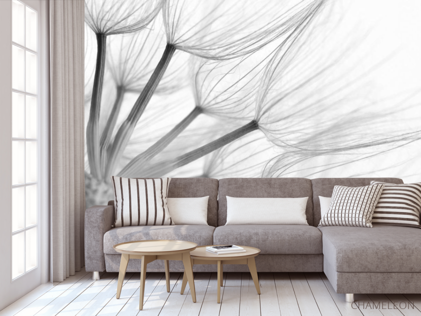 Фотообои Одуванчик - 3